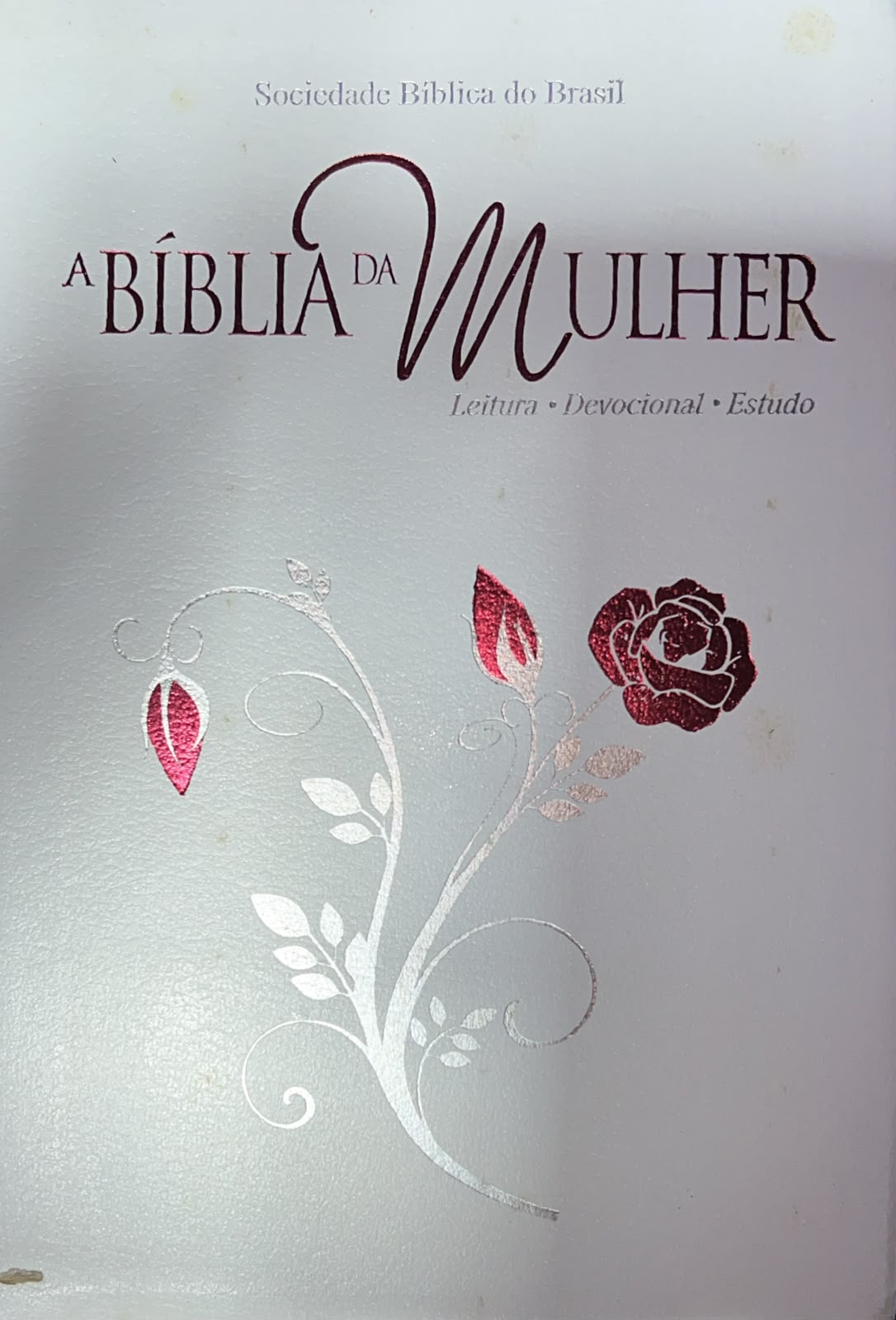 A Bíblia Da Mulher - Leitura, Devocional, Estudo