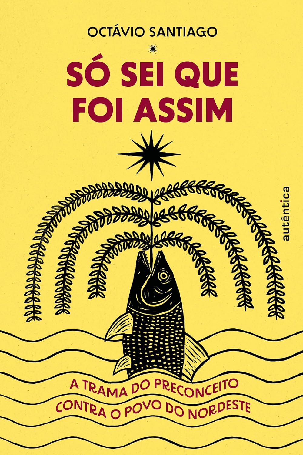 Só sei que foi assim