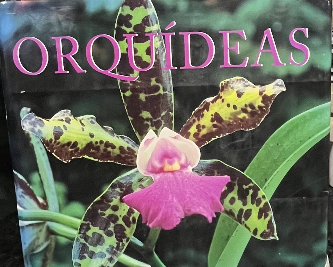 Orquideas