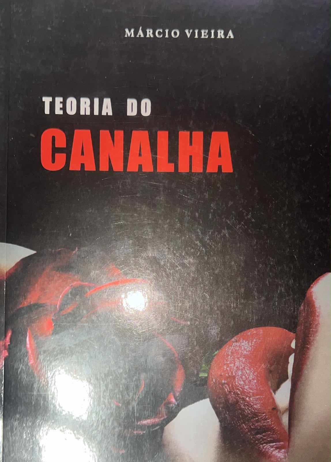Teoria do Canalha